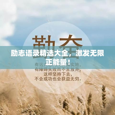 励志语录精选大全，激发无限正能量！