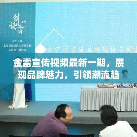 金雷宣传视频最新一期，展现品牌魅力，引领潮流趋势