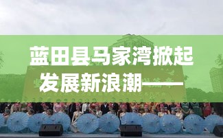 蓝田县马家湾掀起发展新浪潮——地区崭新篇章