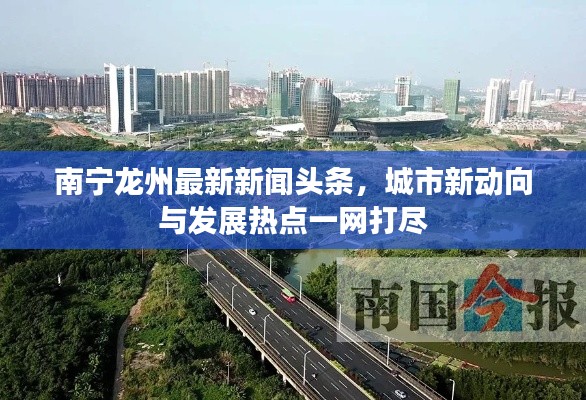 南宁龙州最新新闻头条，城市新动向与发展热点一网打尽