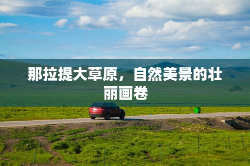 那拉提大草原，自然美景的壮丽画卷
