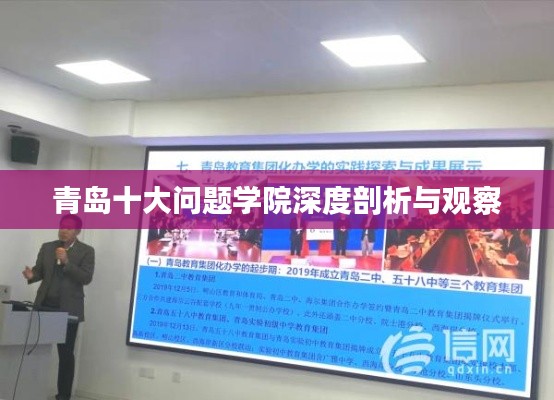 青岛十大问题学院深度剖析与观察