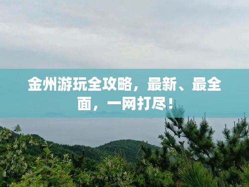 金州游玩全攻略，最新、最全面，一网打尽！