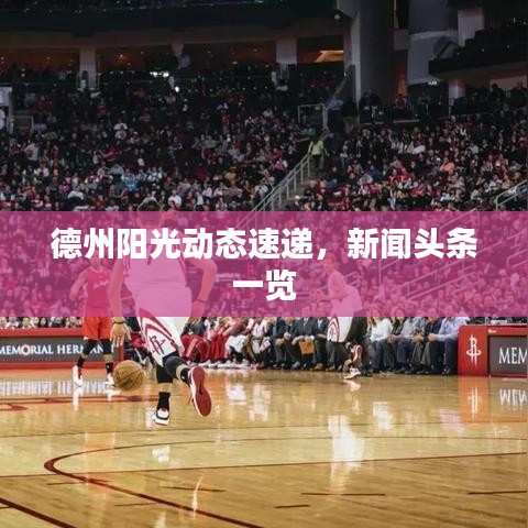 德州阳光动态速递，新闻头条一览