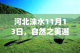 河北涞水11月13日，自然之美邂逅之旅