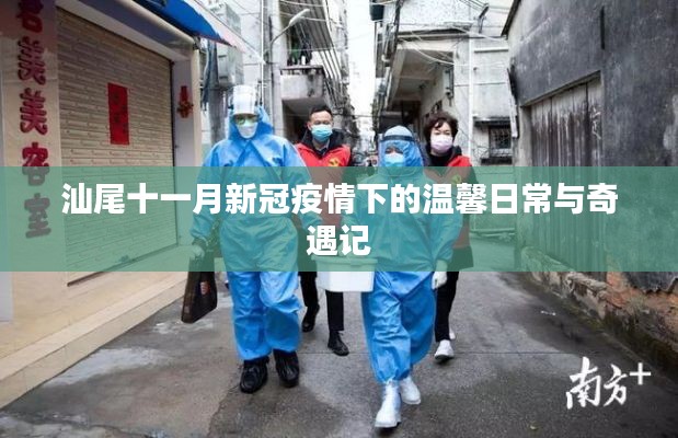 汕尾十一月新冠疫情下的温馨日常与奇遇记