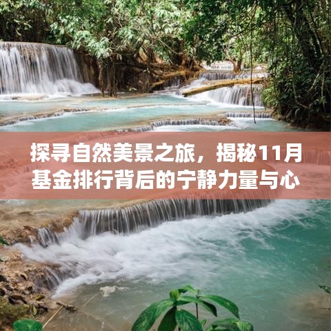 探寻自然美景之旅，揭秘11月基金排行背后的宁静力量与心灵之旅