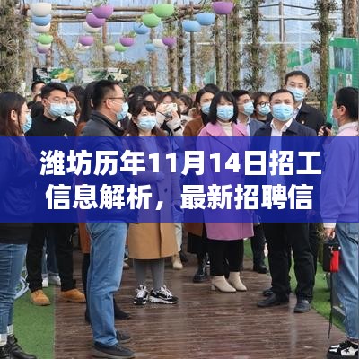 潍坊历年11月14日招工信息解析，最新招聘信息深度分析与用户体验透视