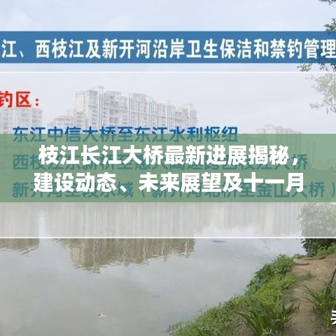 枝江长江大桥最新进展揭秘，建设动态、未来展望及十一月最新动态更新