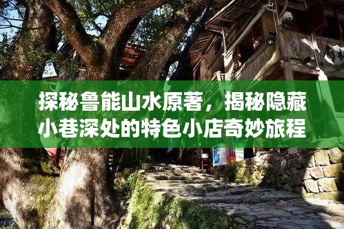 探秘鲁能山水原著，揭秘隐藏小巷深处的特色小店奇妙旅程之最新消息（11月14日）