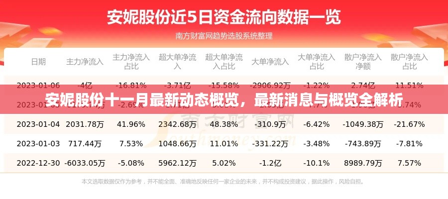 安妮股份十一月最新动态概览，最新消息与概览全解析