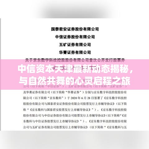 中信资本天津最新动态揭秘，与自然共舞的心灵启程之旅