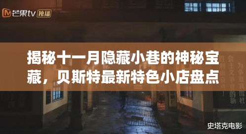 揭秘十一月隐藏小巷的神秘宝藏，贝斯特最新特色小店盘点