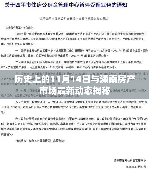 历史上的11月14日与滦南房产市场最新动态揭秘