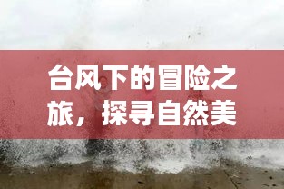 台风下的冒险之旅，探寻自然美景与台风最新路径图