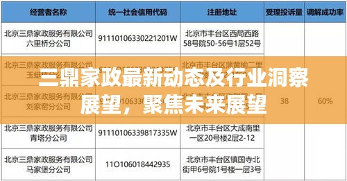 三鼎家政最新动态及行业洞察展望，聚焦未来展望