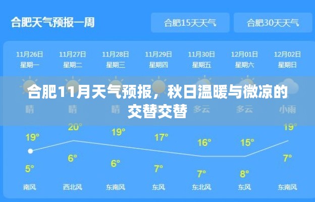 合肥11月天气预报，秋日温暖与微凉的交替交替