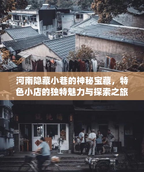 河南隐藏小巷的神秘宝藏，特色小店的独特魅力与探索之旅（历年11月14日最新文件）