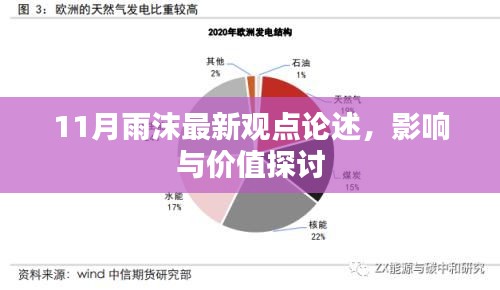 11月雨沫最新观点论述，影响与价值探讨