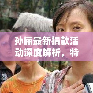 孙俪最新捐款活动深度解析，特性、体验、竞品对比及用户群体分析报告