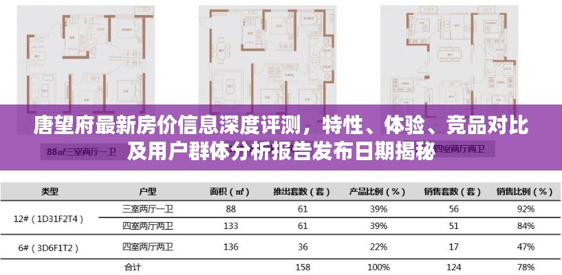 唐望府最新房价信息深度评测，特性、体验、竞品对比及用户群体分析报告发布日期揭秘