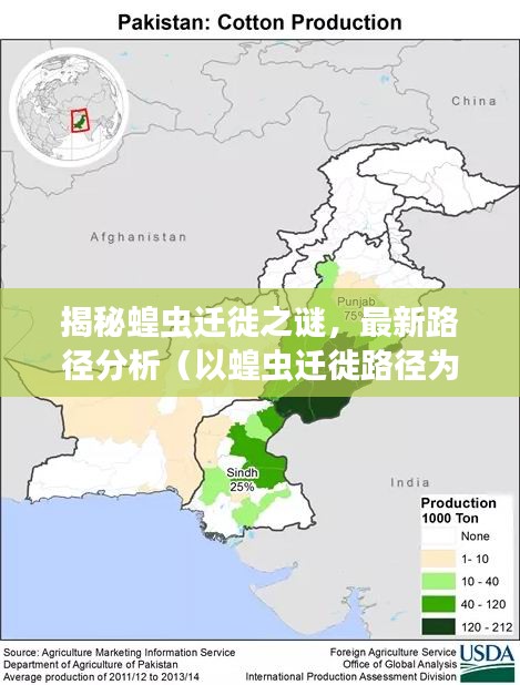 揭秘蝗虫迁徙之谜，最新路径分析（以蝗虫迁徙路径为例，时间，11月14日）