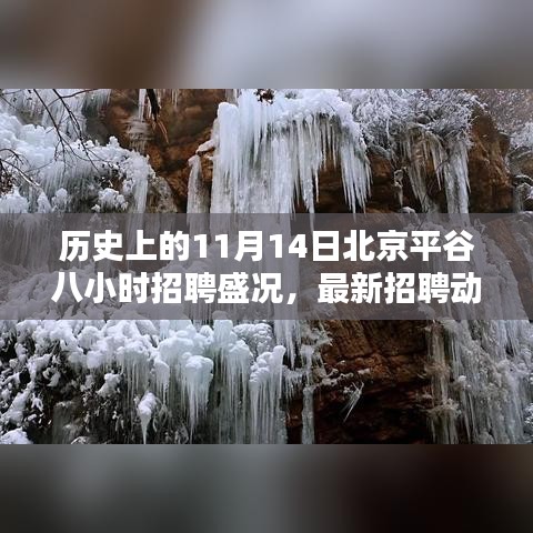 历史上的11月14日北京平谷八小时招聘盛况，最新招聘动态与职业盛宴回顾