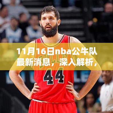 11月16日NBA公牛队最新消息深度解析与全面评测