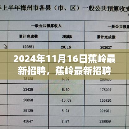 蕉岭最新招聘2024年11月16日热门职位全解析，把握未来，从这里起航