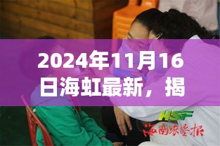 揭秘海虹新动态，探索发现之旅在2024年11月16日启航