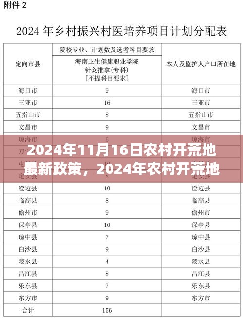 2024年农村开荒地新政策解析，变革的田野，培育希望的沃土