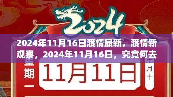 渡情新观察，2024年11月16日的未来展望