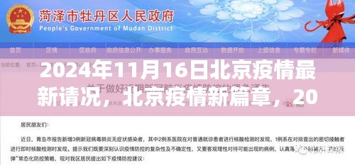 北京疫情最新动态，曙光与希望照亮2024年11月16日的北京抗疫新篇章