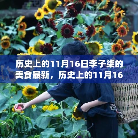 李子柒美食传承与现代影响之我见，历史上的11月16日美食回顾与深思