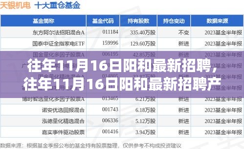 往年11月16日阳和最新招聘及招聘产品全面评测介绍