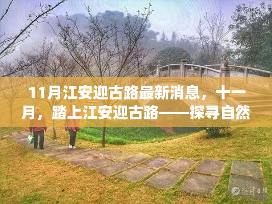 十一月江安迎古路，自然美景探寻与心灵宁静之旅的最新消息