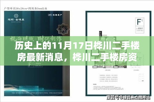 桦川二手楼房资讯，最新消息与获取指南（历史上的11月17日更新）