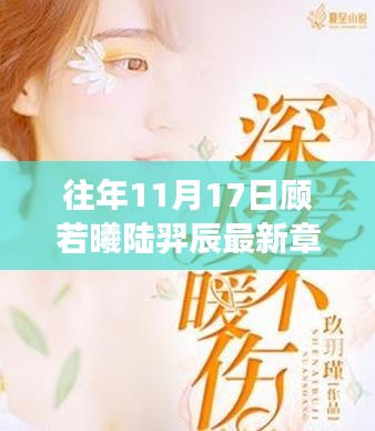 往年11月17日，顾若曦与陆羿辰的情感深度剖析最新章节