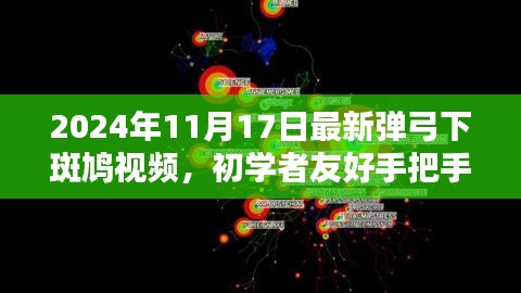 最新弹弓下斑鸠视频教程，初学者友好手把手教你掌握技能学习全攻略