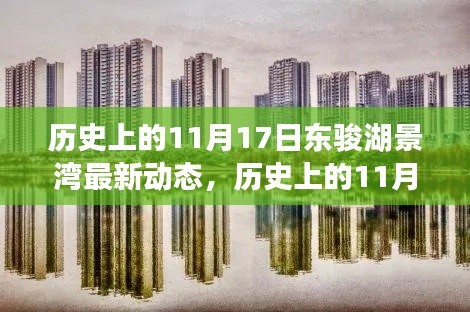 历史上的11月17日，东骏湖景湾的自然探索与最新动态，寻找宁静港湾之旅