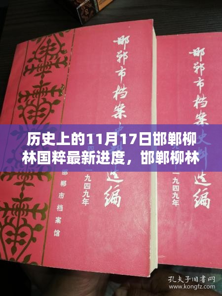 邯郸柳林国粹新纪元，11月17日的历史性突破与前沿科技体验进展