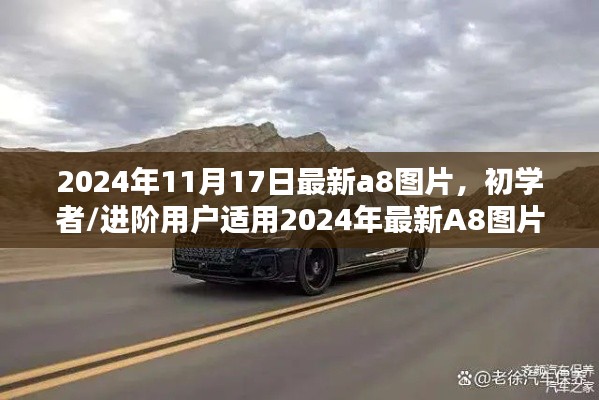 初学者与进阶用户适用的最新A8图片获取攻略（2024年11月17日更新）