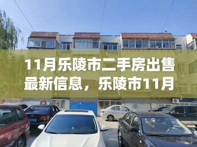 乐陵市二手房市场最新动态，11月出售信息及市场走势分析聚焦