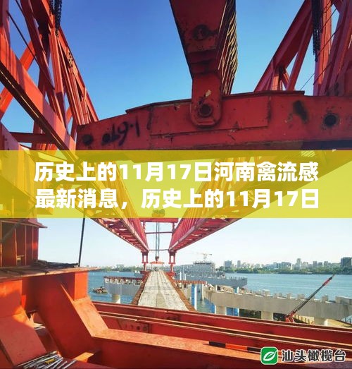 历史上的11月17日河南禽流感最新动态，全面解析与应对步骤指南