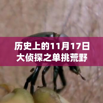 粗制滥造 第4页