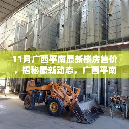 广西平南最新楼房售价走势揭秘及分析，11月动态报告