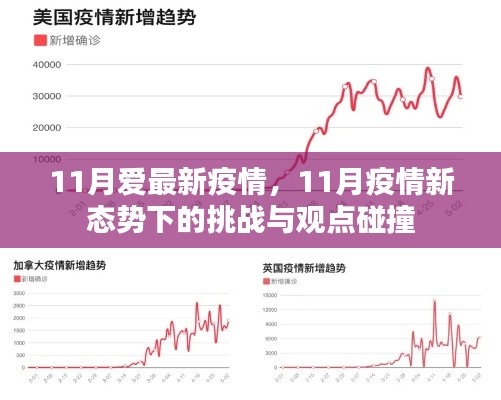 11月疫情新态势下的挑战与观点碰撞，最新疫情分析