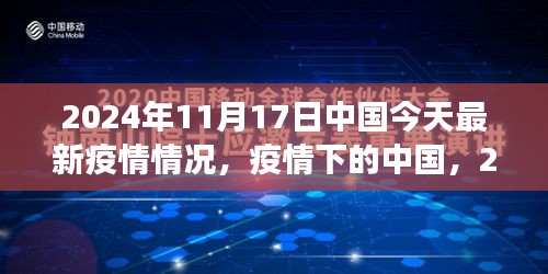 2024年11月17日中国疫情最新动态，观察与记录