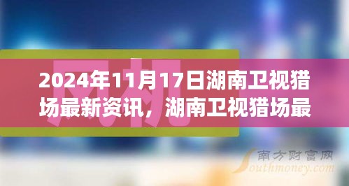 湖南卫视猎场最新资讯解析，职场观察与个人观点分析（2024年11月17日）