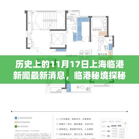 揭秘临港秘境，自然美景背后的故事与上海临港最新新闻回顾（日期，历史上的11月17日）